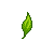Censor Leaf