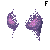 Saidon Scale Bra Purple